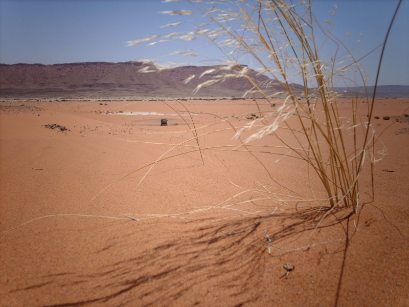 RAID AU MAROC 2006 (photos et vidéos 6 épisodes) Raid_m46