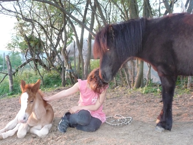 ma douce retraitée et ma gamine shetland! - Page 2 Mai_2018