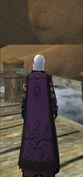Diety and Artisan cloaks - show them off!! Inn2711