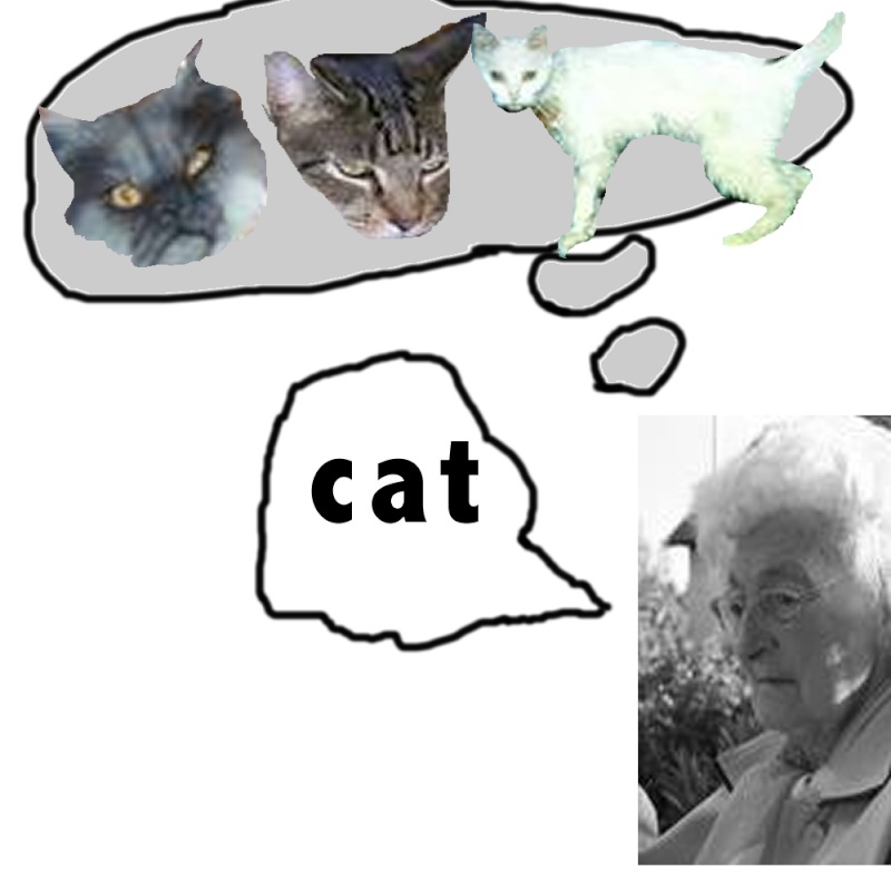 Brandon's Pictures-Im going for 50 Catlad10