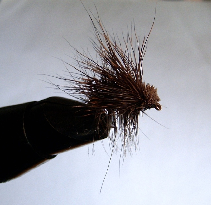 ELK HAIR CADDIS - Page 2 Zox_0211