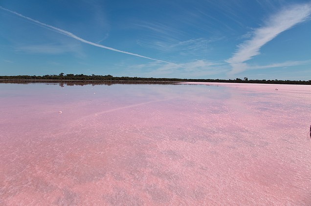 البحيرة الوردية  Eb0a1910