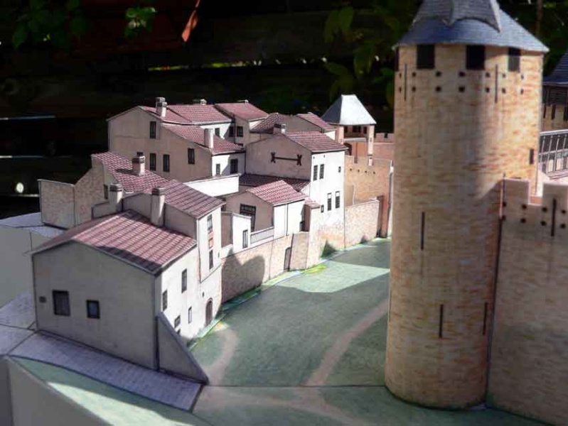 Cite' de Carcassonne P1060610