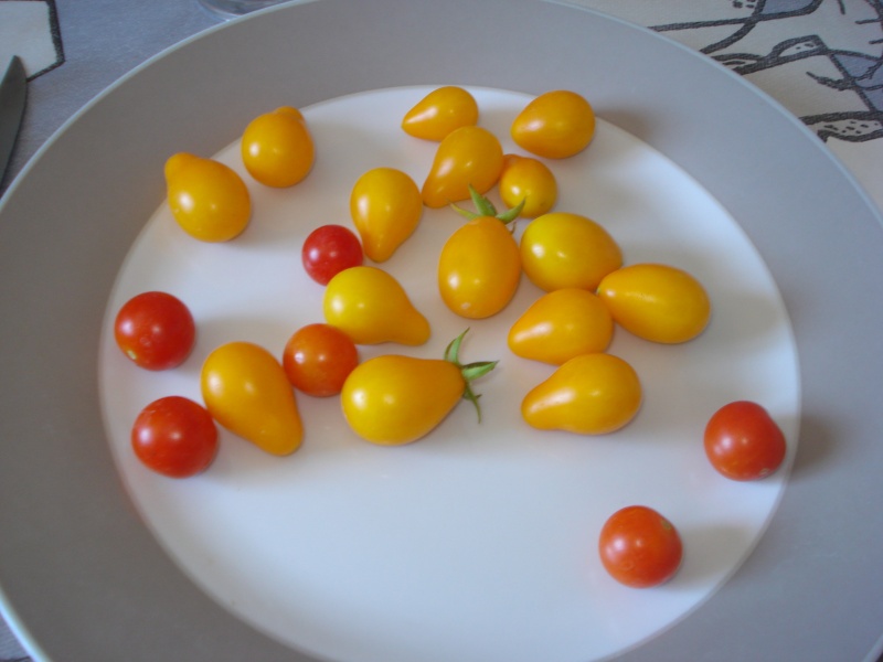 Tomates de Cornélia Dsc06710