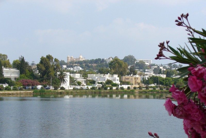 Colline de Byrsa - Carthage - Tunisie 50419010