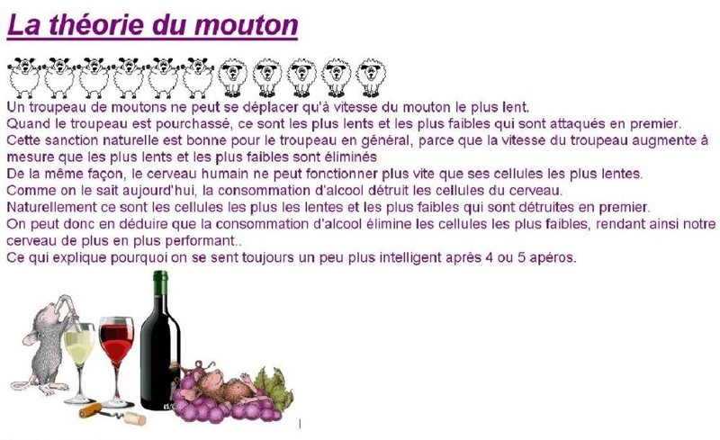 L'alcool au volant! - Page 4 Mouton10