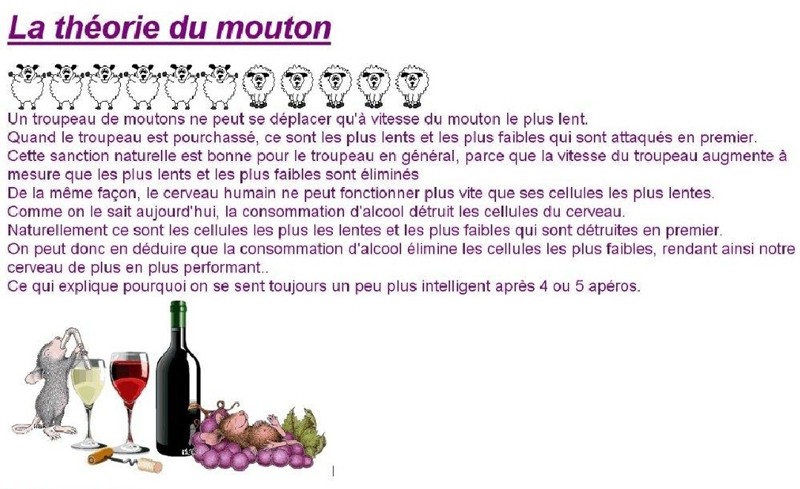 L'alcool au volant! - Page 2 Mouton10