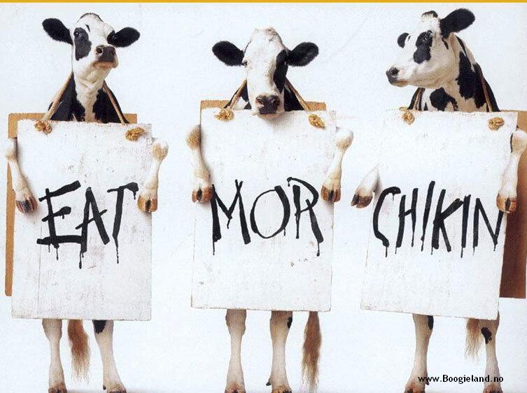 eat more chikin Funny-11