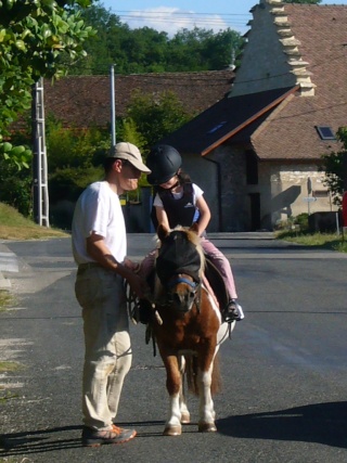 Cabry : des poneys dans le Nord-Isère - Page 9 P1050712