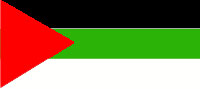 تاريخ العلم السوري Flag110