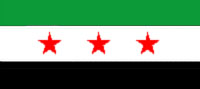 تاريخ العلم السوري Flag310