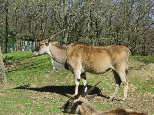 visite zoologique Zoo_pl30