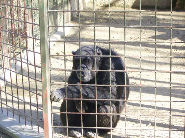 visite zoologique Zoo_pl44