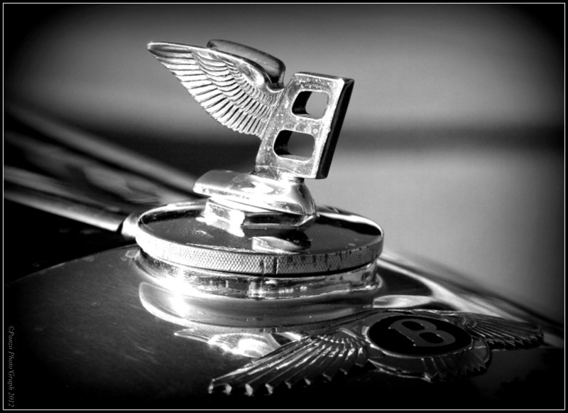 L'insigne Bentley Img_0311