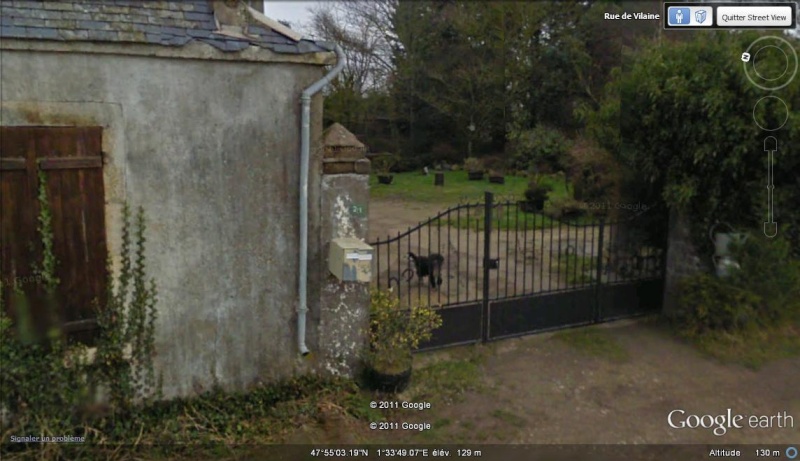 STREET VIEW : Les animaux - Page 7 Ethan_10