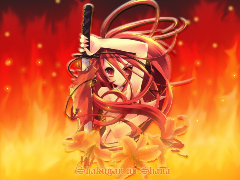 Shakugan no Shana Shakug10