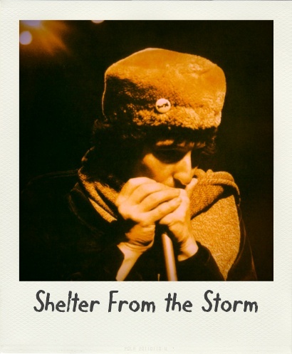 TRACK TALK #9 Shelter From the Storm 19110