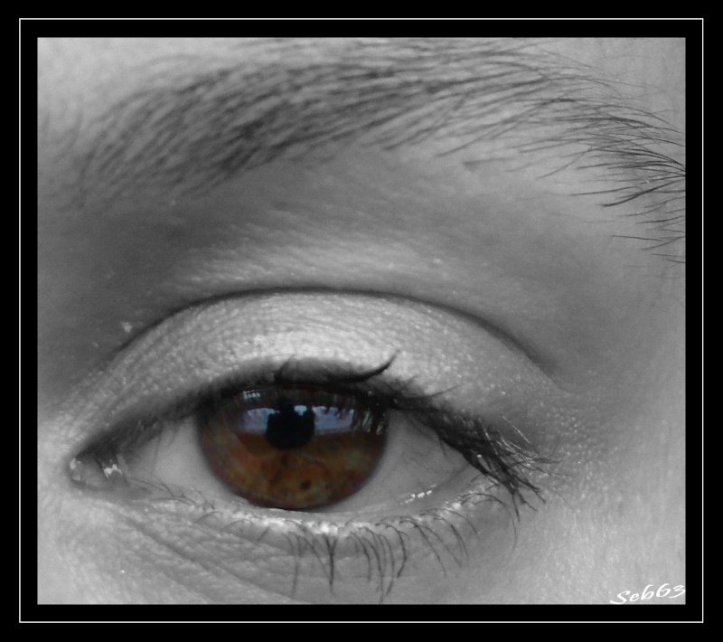 the eyes Oeil_a10