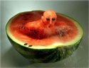 L'art des fruits... Image045