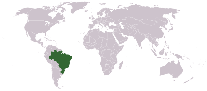 البرازيل 312