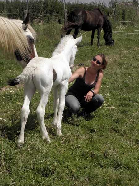 Cherokee du Cluzelet, fils de Blueberry du Vallon et Tina des Boisets P7170014