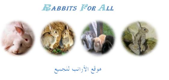 صور لبعض أنواع الأرانب F7ce0d10