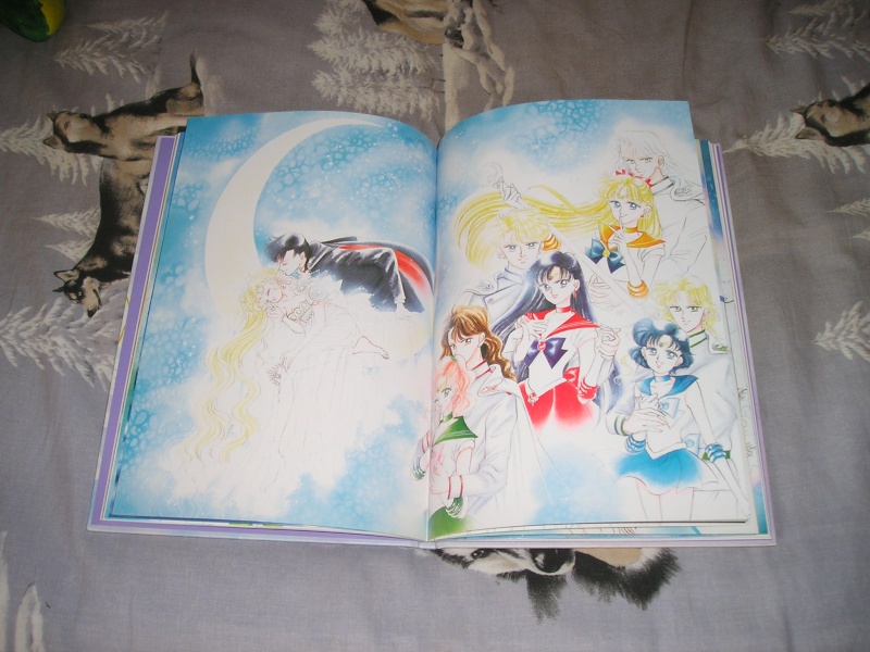 Ma petite collection Sailor Moon P1010045