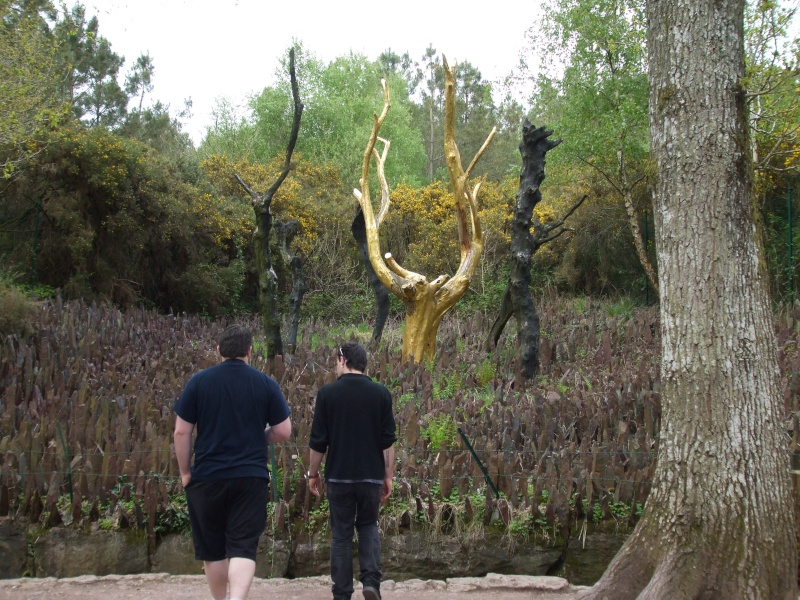 Brocéliande et ses mystères : en images Dscf0112