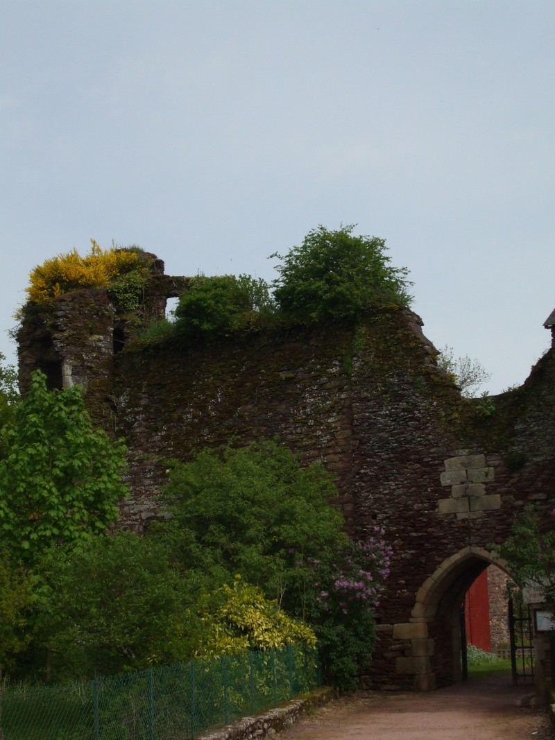 Brocéliande et ses mystères : en images Dscf0116