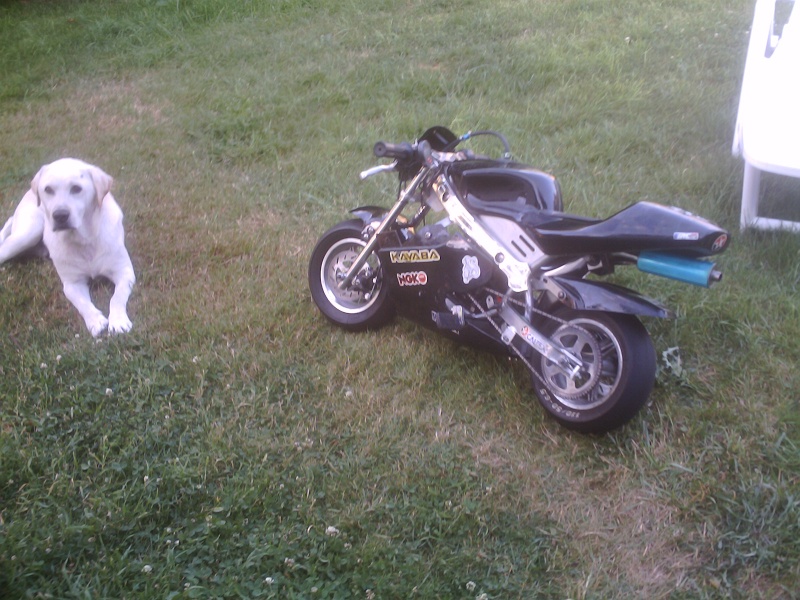 Ma TiItE sTrEeT bike NEW IMAGE LE CHIEN MDRRR Img_0014