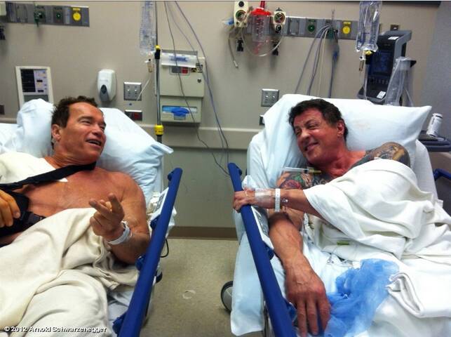  Arnold Schwarzenegger 2012 A_e_s10