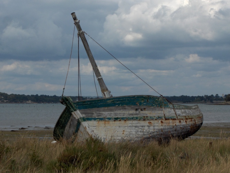 Une petite barque échouée sur l'ile d'Arz Photo_16