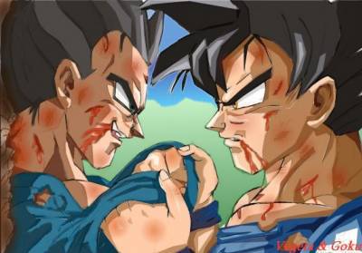 Goku vs Vegeta !!! 20976310