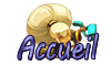 Accueil