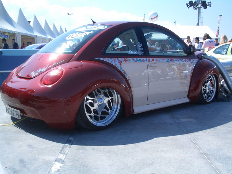 New Beetle & new cox New_be10