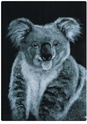 Nouvelle gribouilleuse Koala10