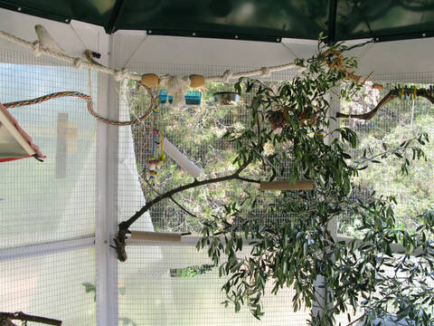 Comment construire une volière extérieure dans votre jardin ? - Blog Jardin  Couvert - Conseils jardinage et serres
