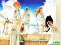 Bleach 317-0210