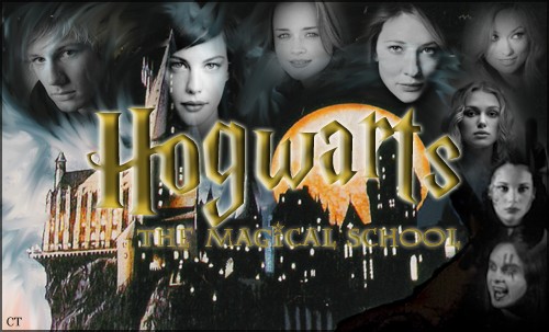 Hogwarts - The magical school Mitrah10