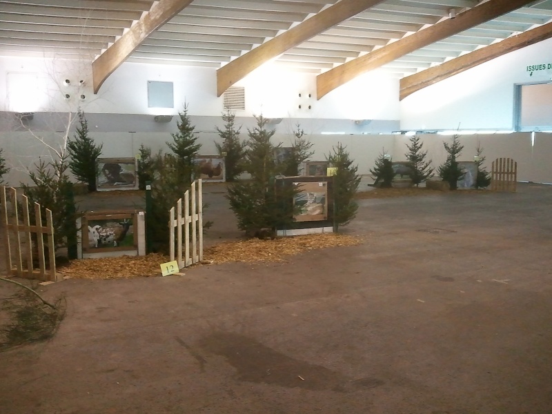 3D/nature indoor d'Epinal le 15/01/12 Photo065