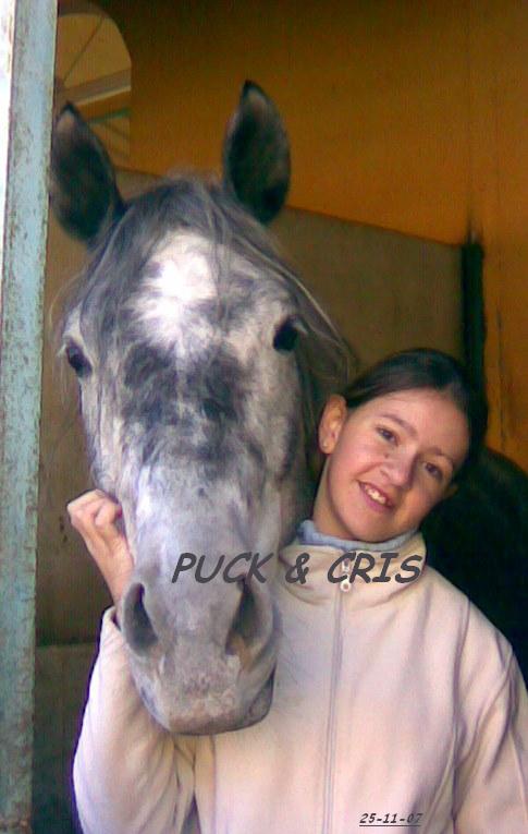 Fotos de nuestros caballos Puck_y11