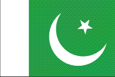 Pakistan Flag Medium10