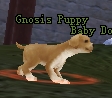 the puppy Gnosis10