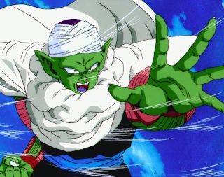 piccolo Piccol13