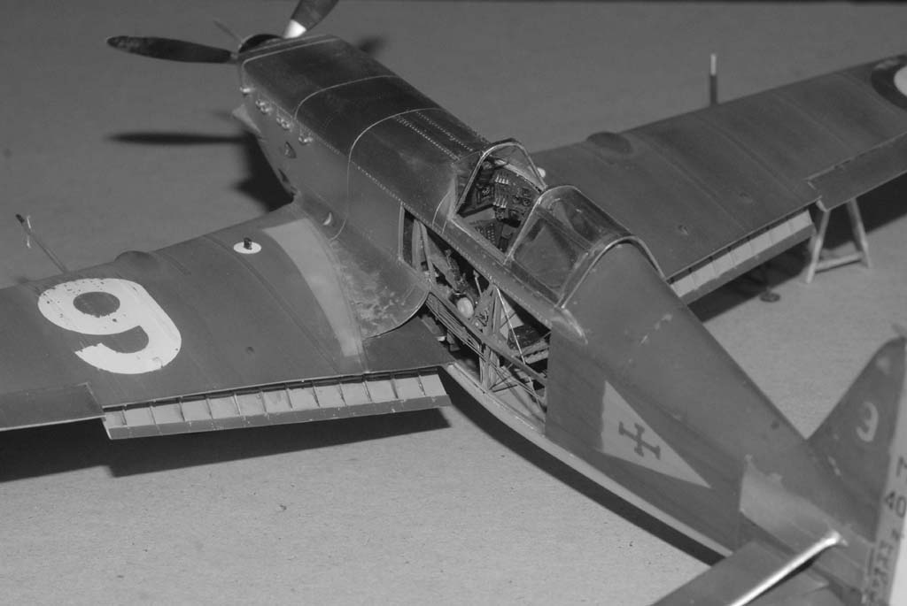 Morane Saulnier405, 1/32 Dsc_0311