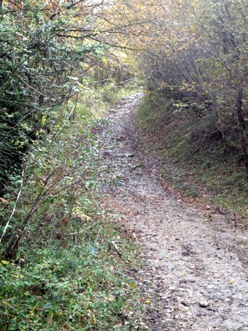 Sur la piste des Cathares 9-10-11 Novembre - Page 20 Sdc15713