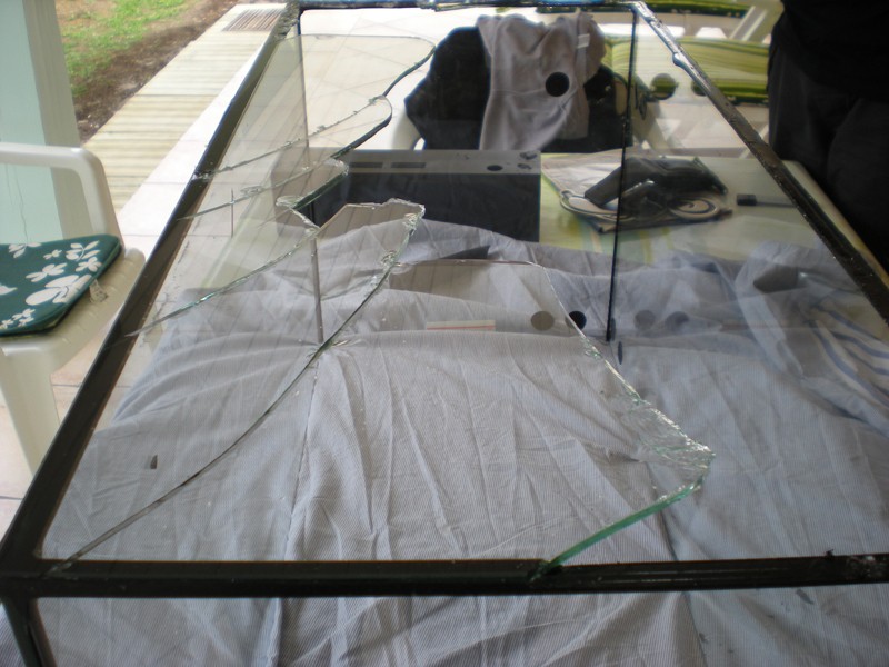 Réparation d'une vitre - Aquarium 110L Dscn2615