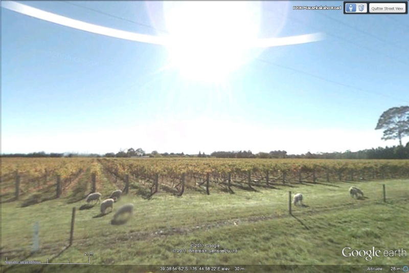 [Nouvelle-Zélande] - Les Régions viticoles Steet_13