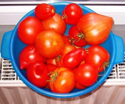 Tomates. - Page 4 2011_010