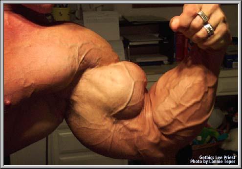 position de biceps faial ?? Lee_pr10